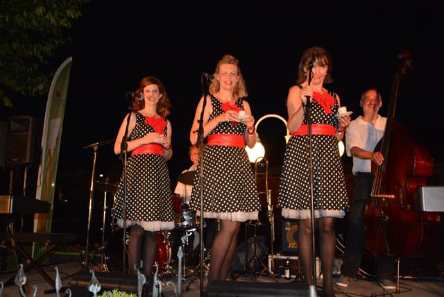 min 2015 06 05 bad ischl 079